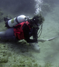 nitrox diver padi courses